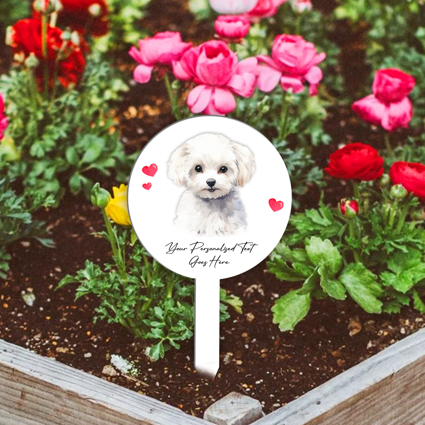 Personalised Dog Love Heart Grave Marker - Bichon Frise