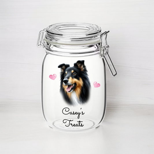 Personalised Border Collie Dog Treat Kilner Style Gift Jar - DGJR05