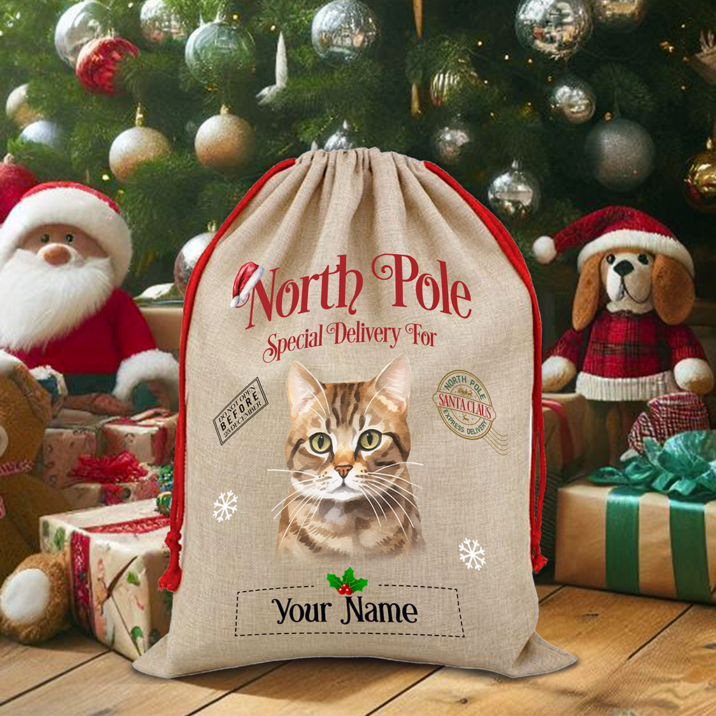 Personalised Tabby Bramble - Cat North Pole Santa Sack