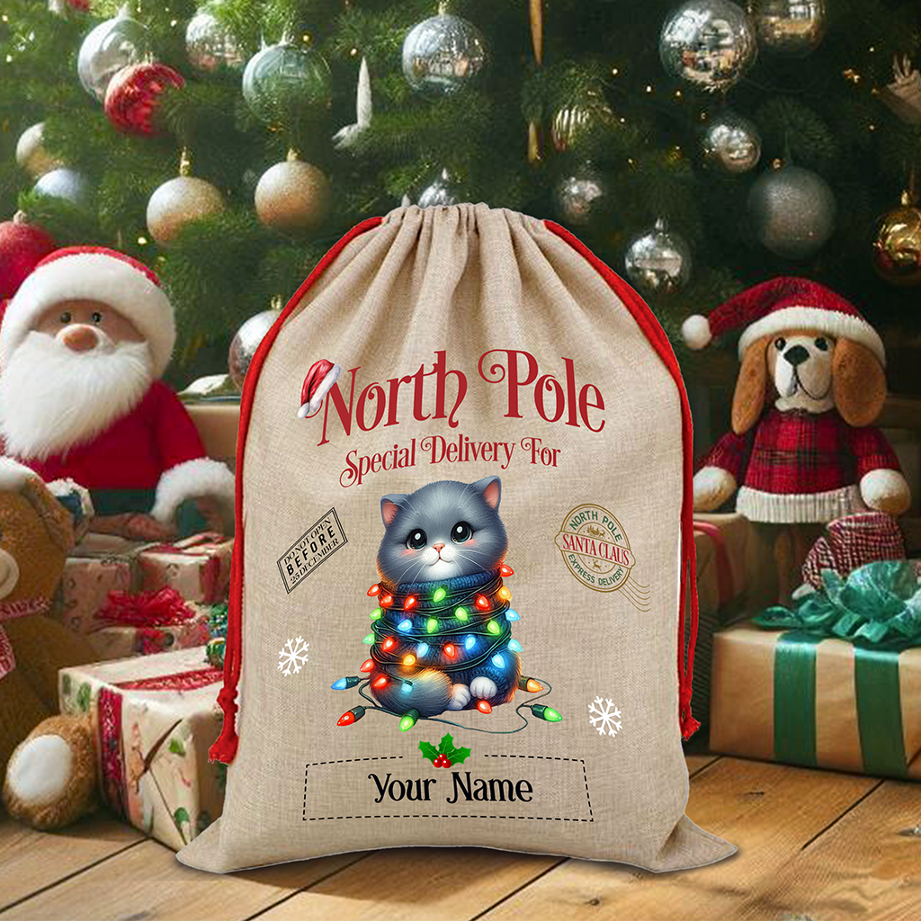 Personalised Cat in Lights North Pole Santa Sack - Style B