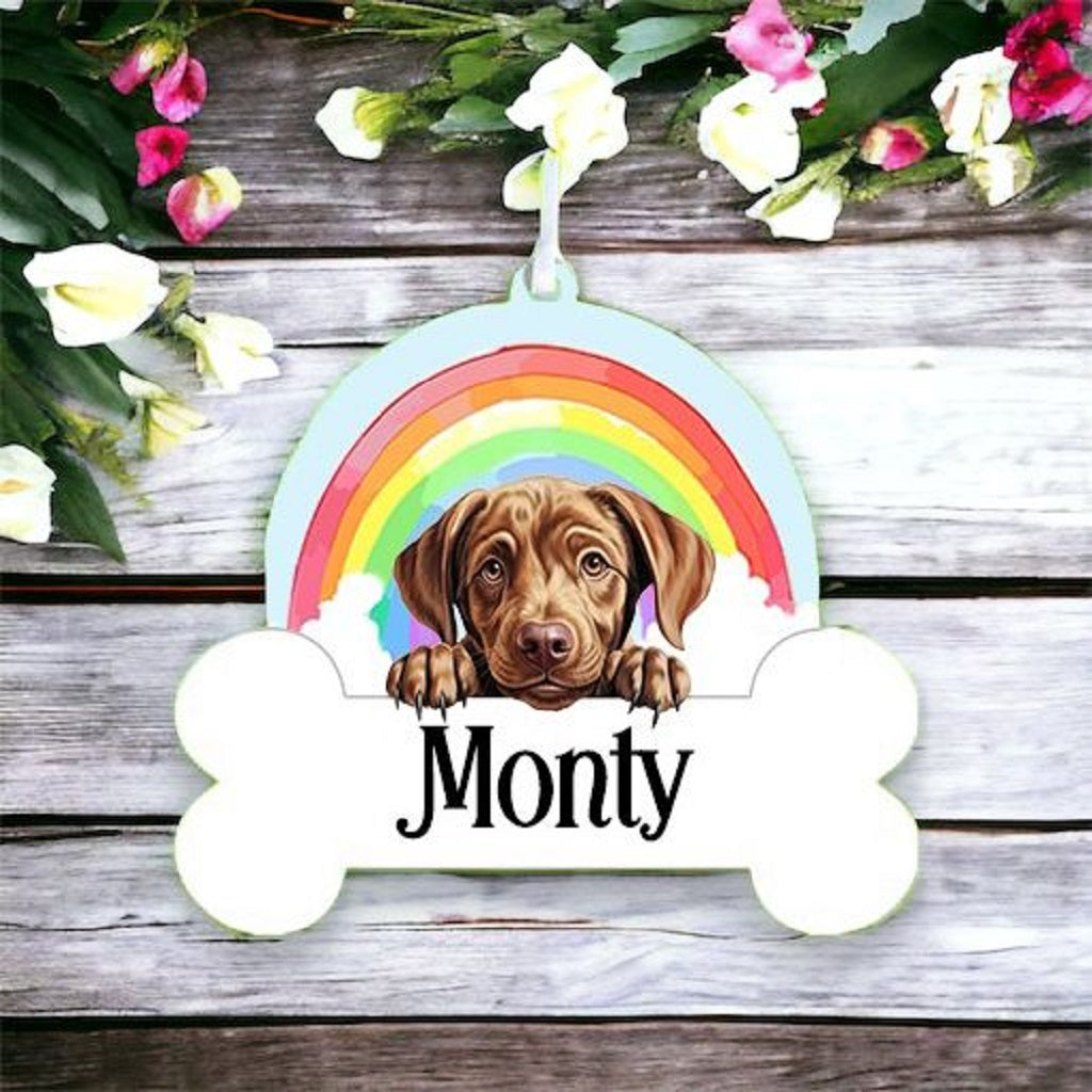 Personalised Labrador Retriever Rainbow Hanging Decoration