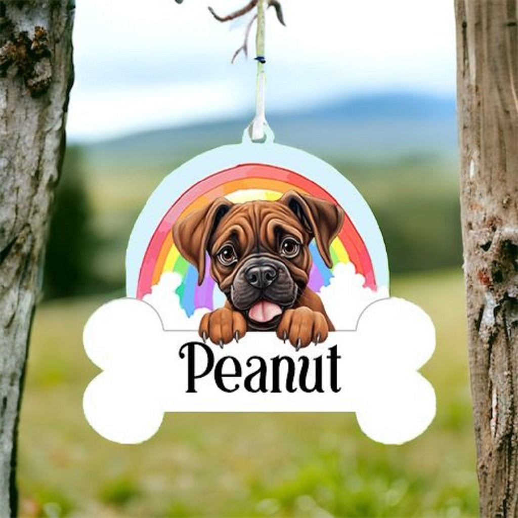 Personalised Boxer Rainbow Hanging Decoration