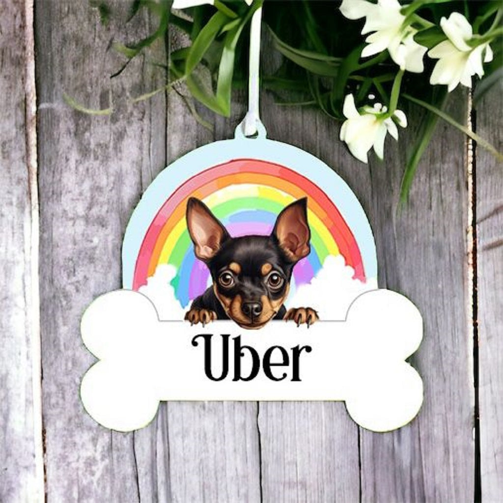 Personalised Miniature Pinscher Rainbow Hanging Decoration