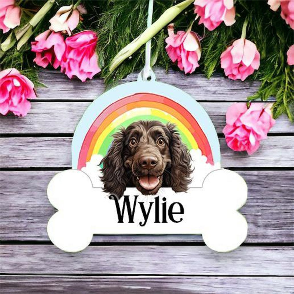 Personalised Boykin Spaniel Rainbow Hanging Decoration