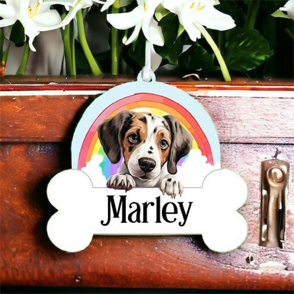 Personalised Pointer Rainbow Hanging Decoration