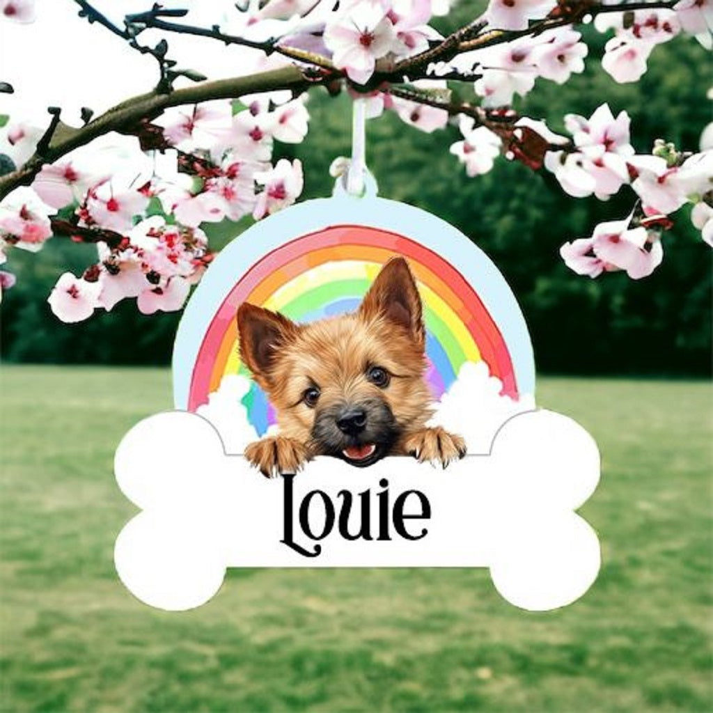 Personalised Norwich Terrier Rainbow Hanging Decoration