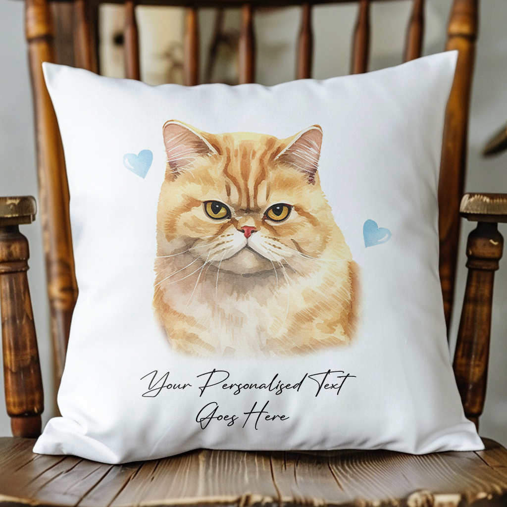 Personalised Exotic Shorthair Cat Love Hearts - Cushion Cover Gift