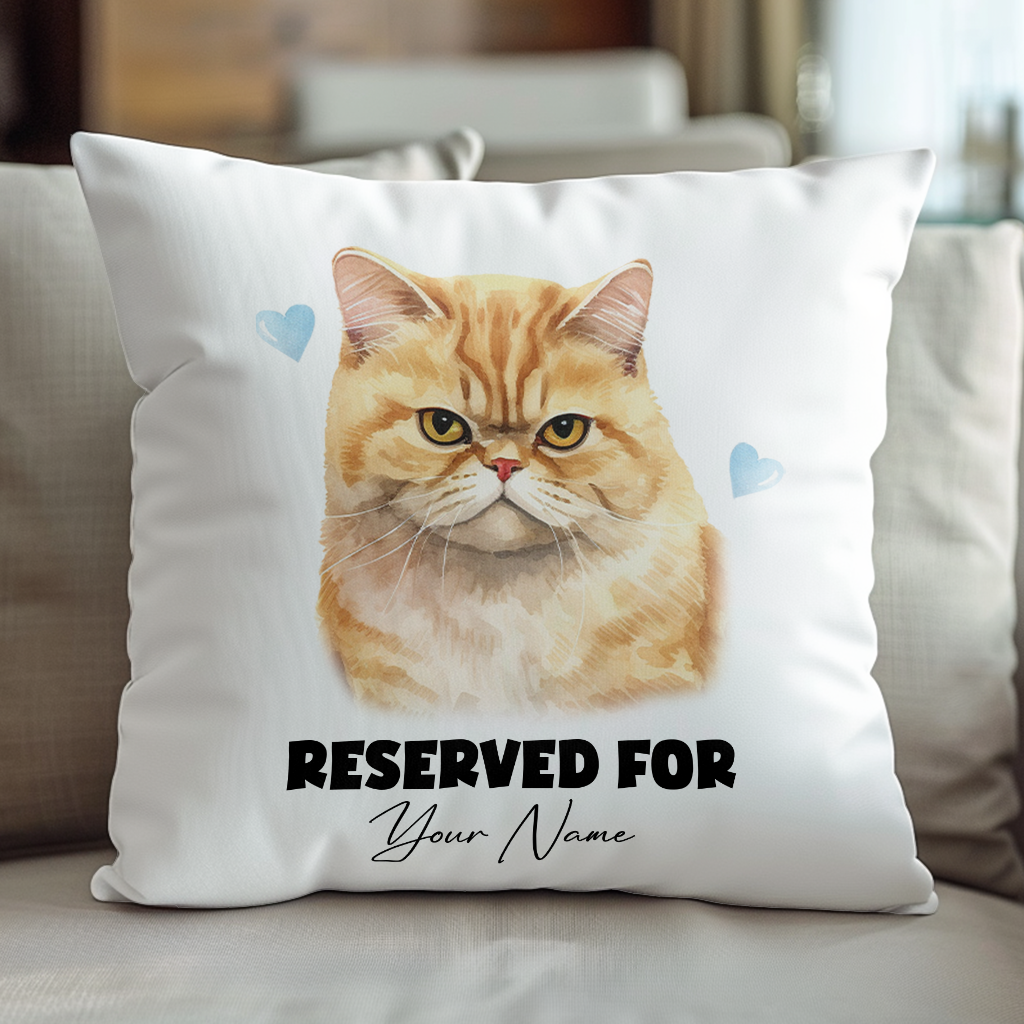 Personalised Exotic Shorthair Cat RESERVED FOR - Cushion Cover Gift