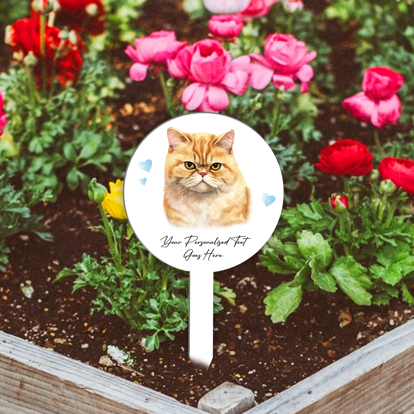 Personalised Cat Love Heart Grave Marker - Exotic Shorthair