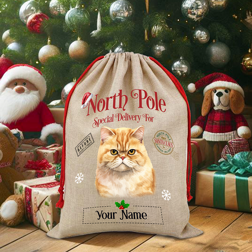 Personalised Exotic Shorthair - Cat North Pole Santa Sack