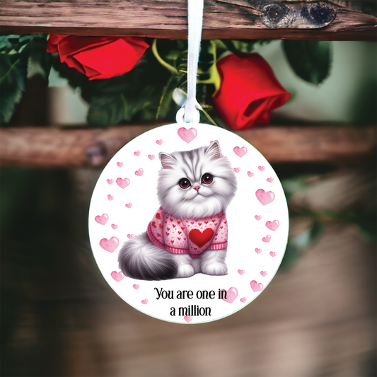 Personalised Silver Tipped Persian Cat Love Decoration