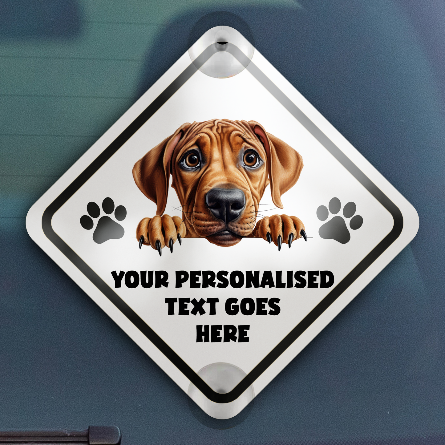 Personalised Dog On Board Car Window Sign - Rhodesian Ridgeback