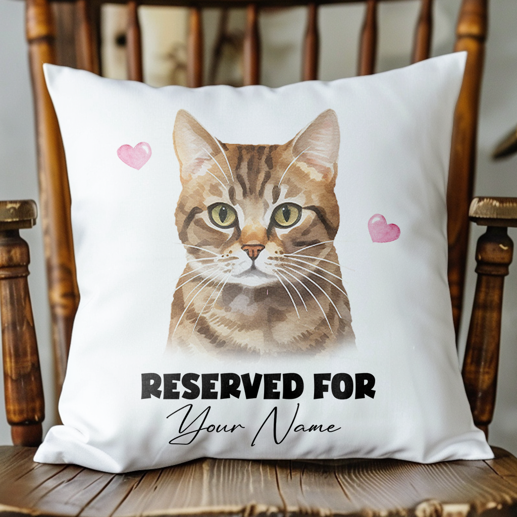 Personalised Tabby Bramble Cat RESERVED FOR - Cushion Cover Gift