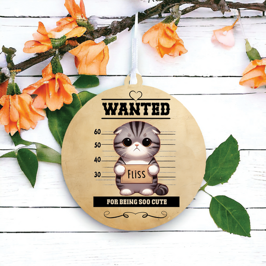 Personalised Scottish Fold Cat Wanted Decoration