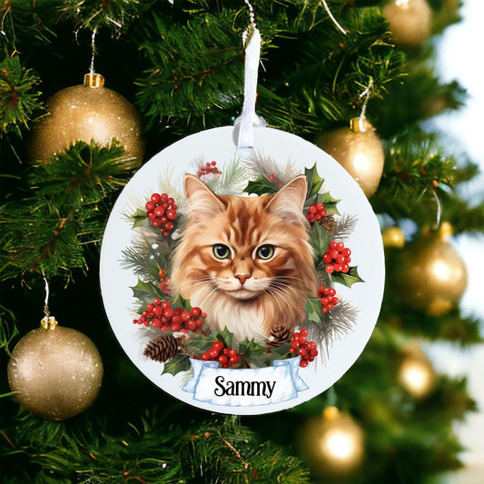 Personalised Pet Cat - Somali - Acrylic Bauble Christmas Tree Ornament Decoration Gift Keepsake