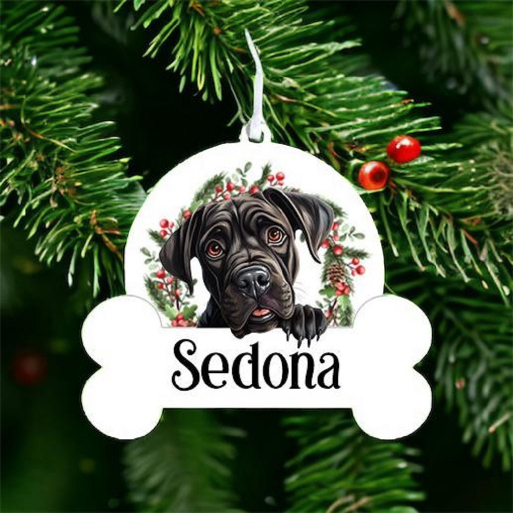 Personalised Christmas Bauble with Cane Corso sat in a wreath